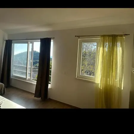Peaceful Oasis With Sea View And Parking Spor Apartment